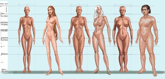 Nude Female Body Types 120